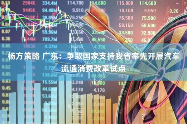 杨方策略 广东：争取国家支持我省率先开展汽车流通消费改革试点