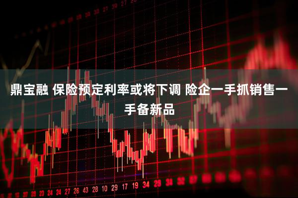 鼎宝融 保险预定利率或将下调 险企一手抓销售一手备新品