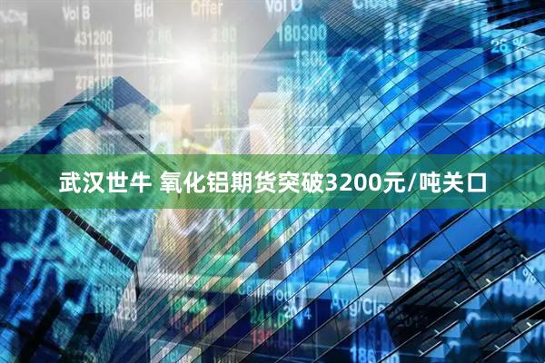 武汉世牛 氧化铝期货突破3200元/吨关口