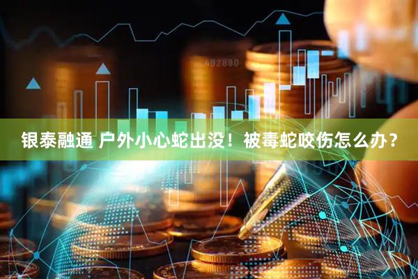 银泰融通 户外小心蛇出没！被毒蛇咬伤怎么办？