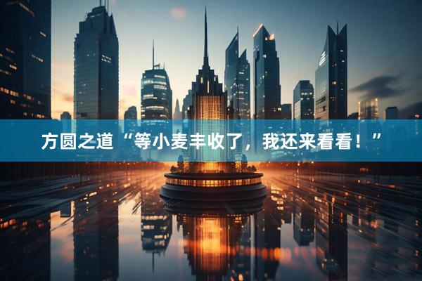 方圆之道 “等小麦丰收了，我还来看看！”