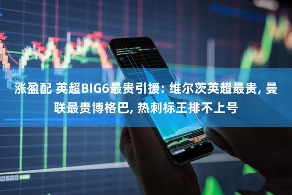 涨盈配 英超BIG6最贵引援: 维尔茨英超最贵, 曼联最贵博格巴, 热刺标王排不上号