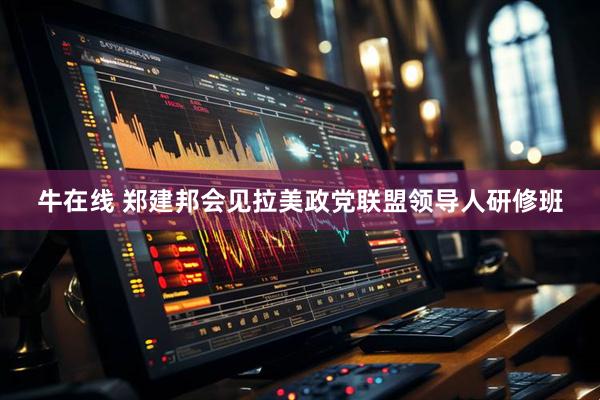 牛在线 郑建邦会见拉美政党联盟领导人研修班