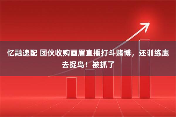 忆融速配 团伙收购画眉直播打斗赌博，还训练鹰去捉鸟！被抓了