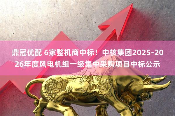 鼎冠优配 6家整机商中标！中核集团2025-2026年度风电机组一级集中采购项目中标公示