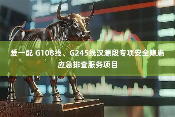 爱一配 G108线、G245线汉源段专项安全隐患应急排查服务项目