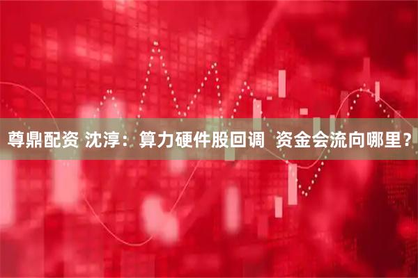 尊鼎配资 沈淳:算力硬件股回调 资金会流向哪里?